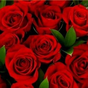 Meet your Posher, Gil